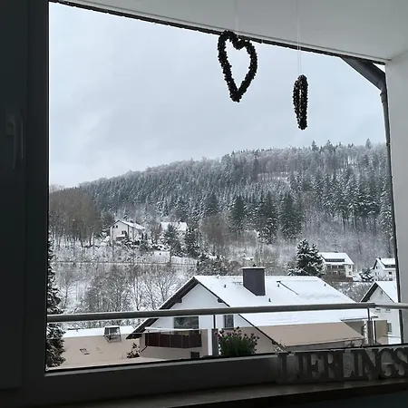 Kristallklar Inklusive Meinecard Appartamento Willingen (Upland)