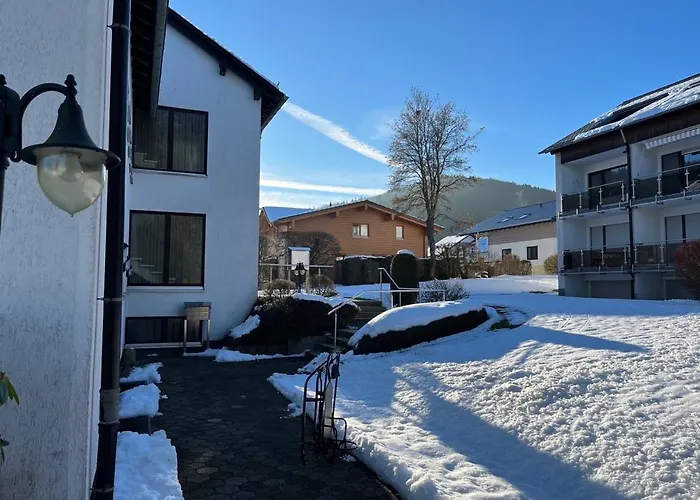 Апартаменты Kristallklar Inklusive Meinecard Виллинген